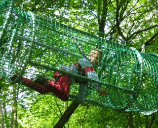 Entertainment for all 